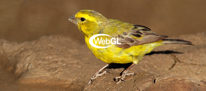 WebGL is a canary in the standards coal mine