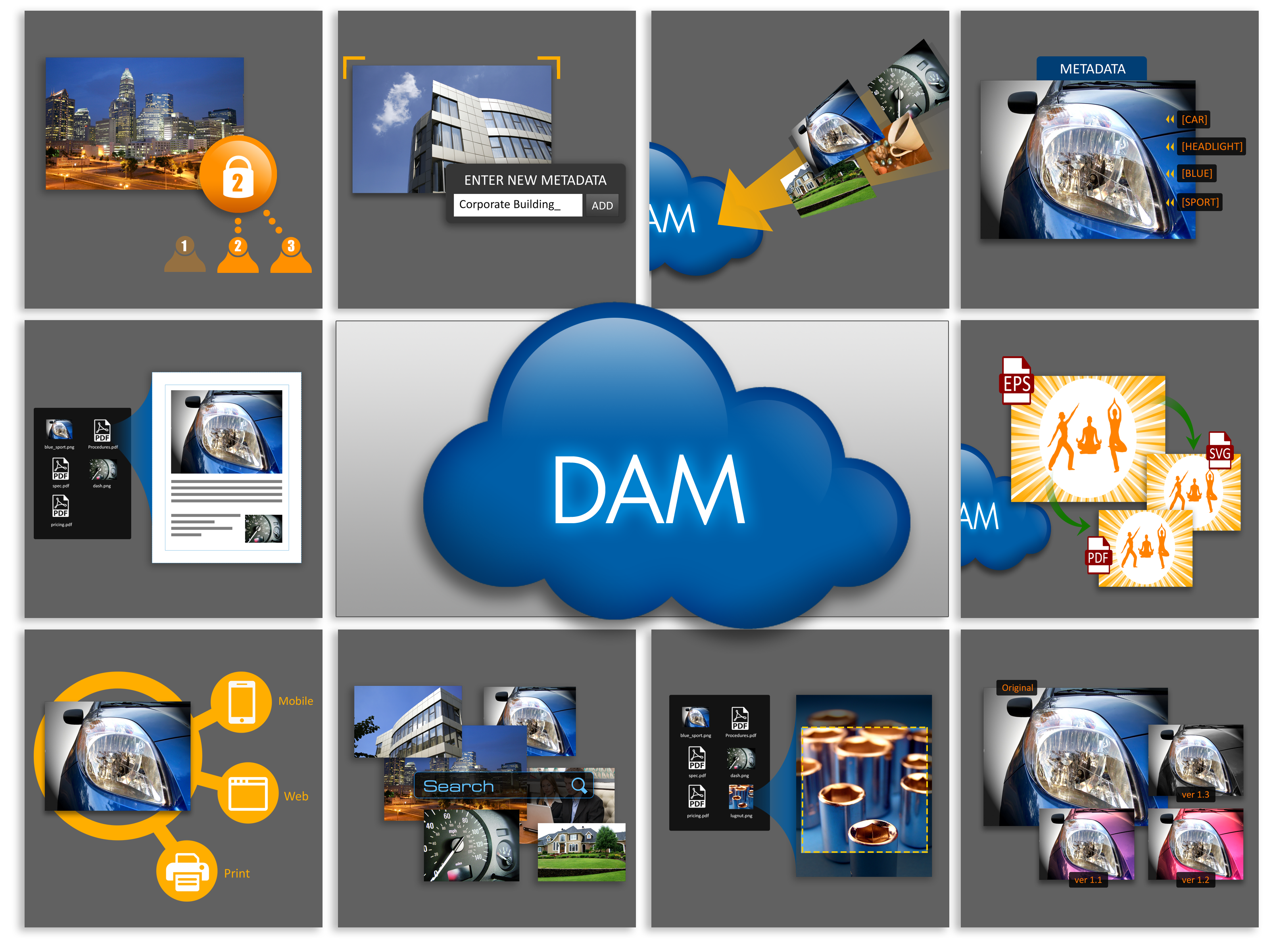 The Ten Functions of DAM