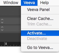 Veeva Activation